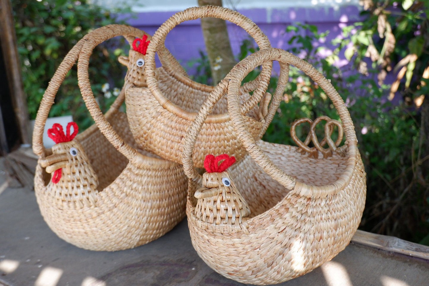 Chicken Egg Storage Basket