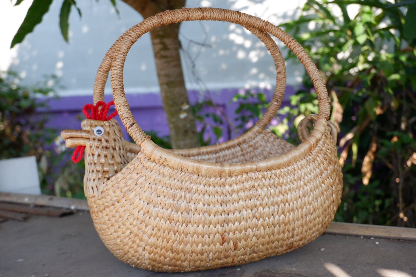 Chicken Egg Storage Basket