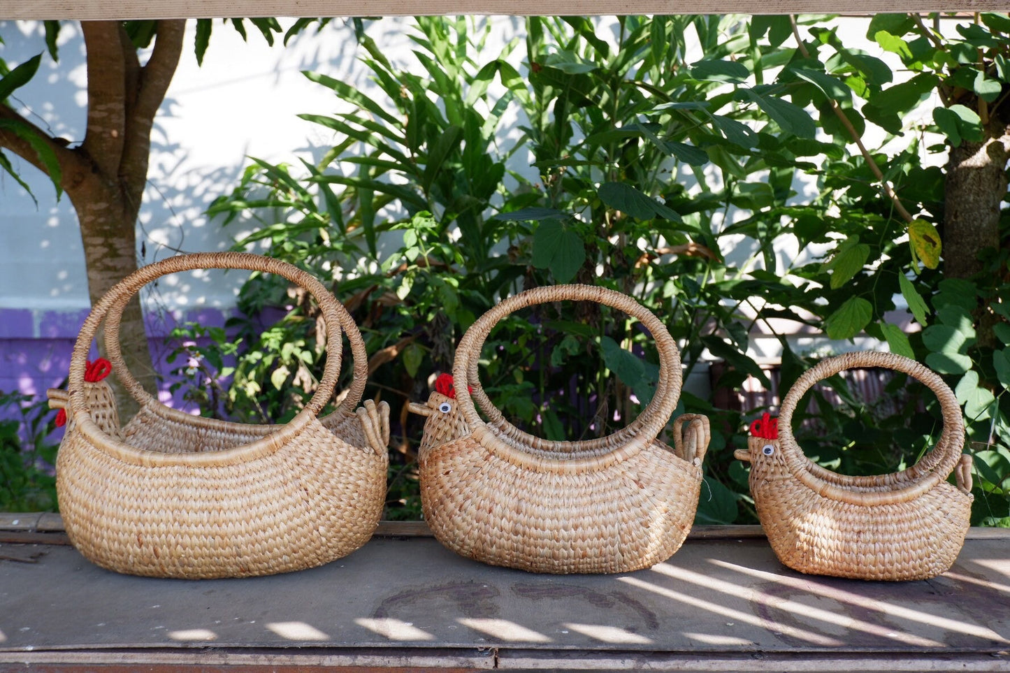 Chicken Egg Storage Basket