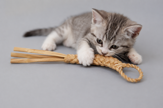 Handwoven Water Hyacinth Cat Wand Toy | Natural Pet Toy for Cats, Rabbits & Small Pets