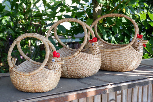 Chicken Egg Storage Basket